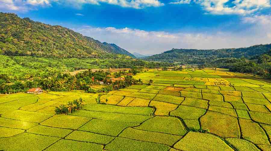 விவசாய நிலம் வாங்க சட்ட விதிமுறைகள்