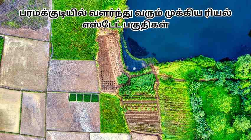 பரமக்குடி பகுதிகளில் வளர்ந்து வரும் பகுதிகள் Paramakudi