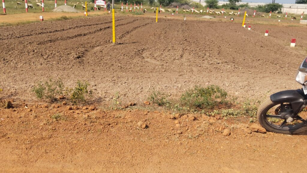 whatsapp image 2026 01 19 at 5.59.24 pm