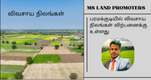 Home www.mslandpromoters.com (4)